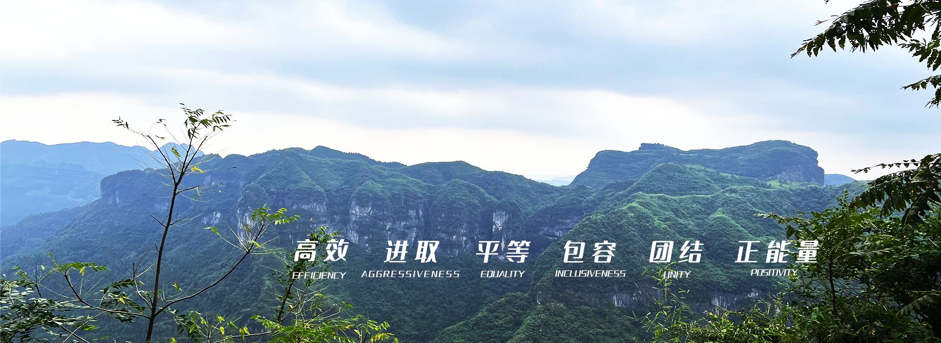 不朽情缘官方网站集团